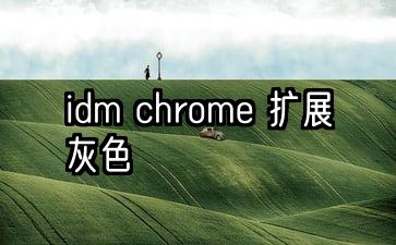 idm chrome 扩展灰色