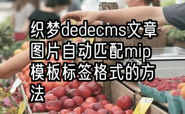 织梦dedecms文章图片自动匹配mip模板标签格式的方法