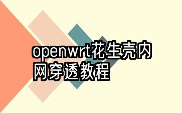 openwrt内网穿透