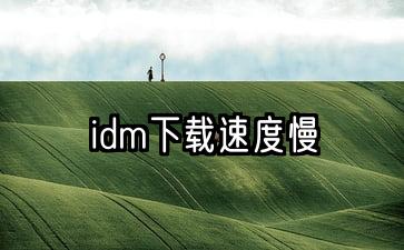 IDM官网